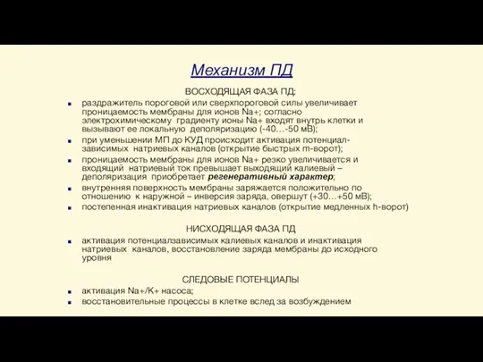 Механизм ПД ВОСХОДЯЩАЯ ФАЗА ПД: раздражитель пороговой или сверхпороговой силы увеличивает проницаемость