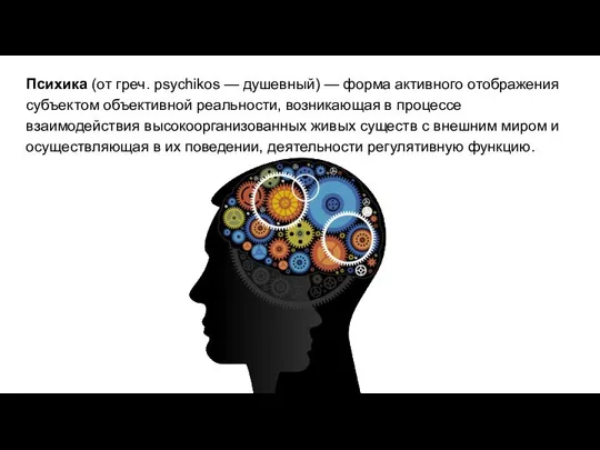 Психика (от греч. psychikos — душевный) — форма активного отображения субъектом объективной