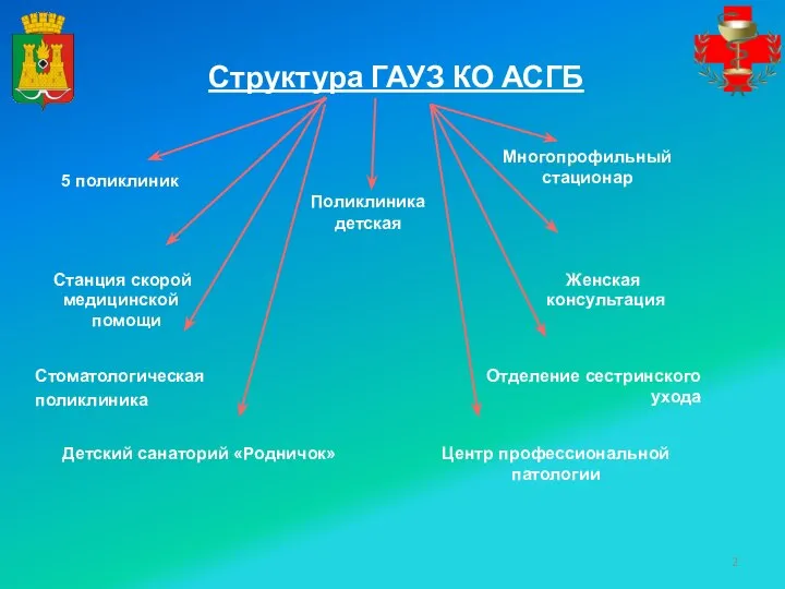 Структура ГАУЗ КО АСГБ