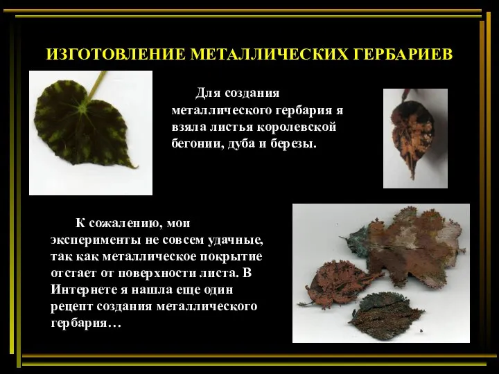 ИЗГОТОВЛЕНИЕ МЕТАЛЛИЧЕСКИХ ГЕРБАРИЕВ Для создания металлического гербария я взяла листья королевской бегонии,