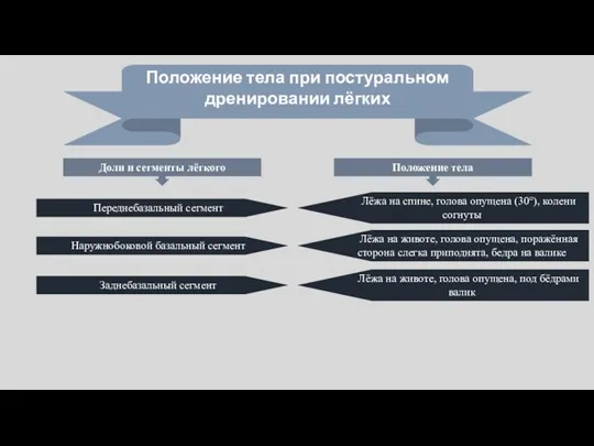 Положение тела при постуральном дренировании лёгких Доли и сегменты лёгкого Положение тела