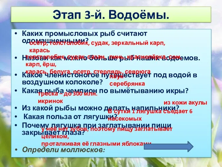 Этап 3-й. Водоёмы. Каких промысловых рыб считают одомашненными? Назови как можно больше