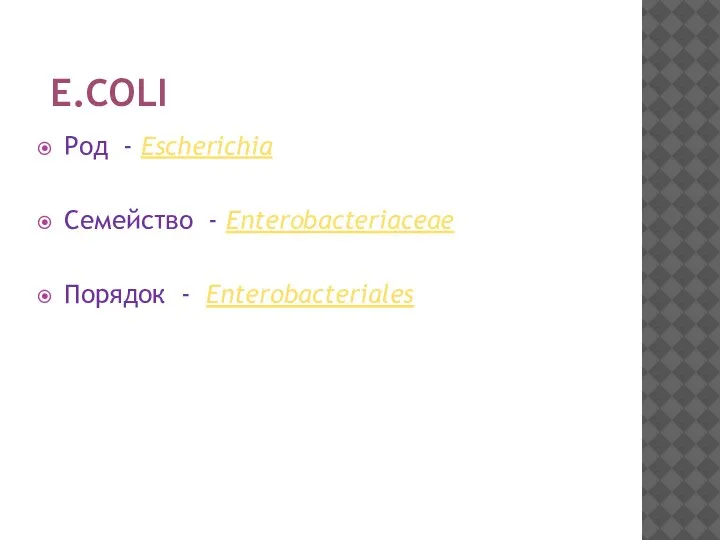 E.COLI Род - Escherichia Семейство - Enterobacteriaceae Порядок - Enterobacteriales