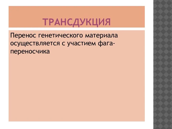 ТРАНСДУКЦИЯ Перенос генетического материала осуществляется с участием фага-переносчика