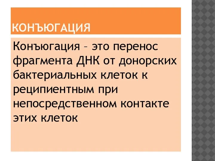 КОНЪЮГАЦИЯ Конъюгация – это перенос фрагмента ДНК от донорских бактериальных клеток к