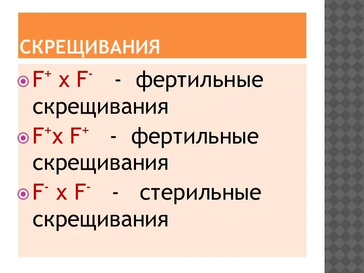 СКРЕЩИВАНИЯ F+ x F- - фертильные скрещивания F+x F+ - фертильные скрещивания