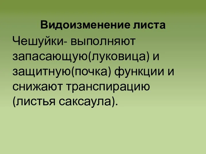 Видоизменение листа Чешуйки- выполняют запасающую(луковица) и защитную(почка) функции и снижают транспирацию(листья саксаула).