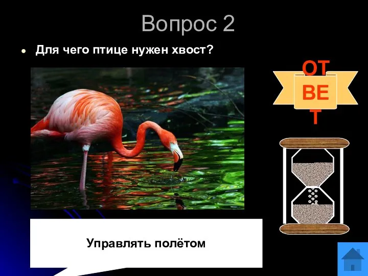 Вопрос 2 Для чего птице нужен хвост? ОТВЕТ Управлять полётом