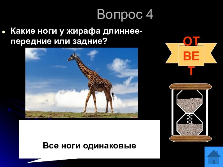 Вопрос 4 Какие ноги у жирафа длиннее- передние или задние? ОТВЕТ Все ноги одинаковые
