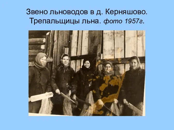 Звено льноводов в д. Керняшово. Трепальщицы льна. фото 1957г.