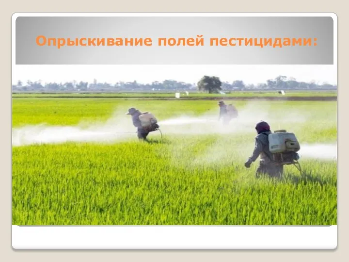 Опрыскивание полей пестицидами: