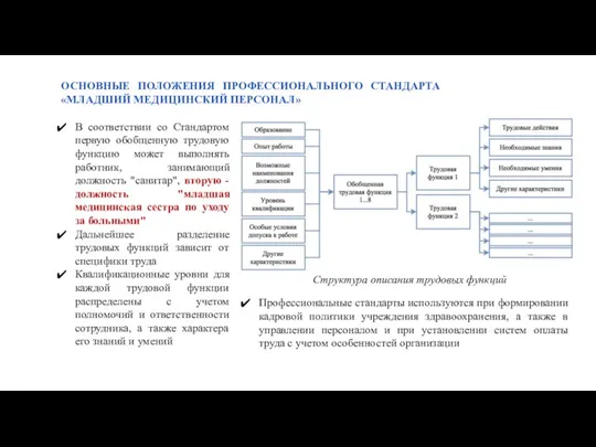 ОСНОВНЫЕ ПОЛОЖЕНИЯ ПРОФЕССИОНАЛЬНОГО СТАНДАРТА «МЛАДШИЙ МЕДИЦИНСКИЙ ПЕРСОНАЛ» В соответствии со Стандартом первую