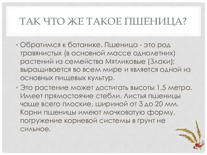 ТАК ЧТО ЖЕ ТАКОЕ ПШЕНИЦА? Обратимся к ботанике. Пшеница - это род