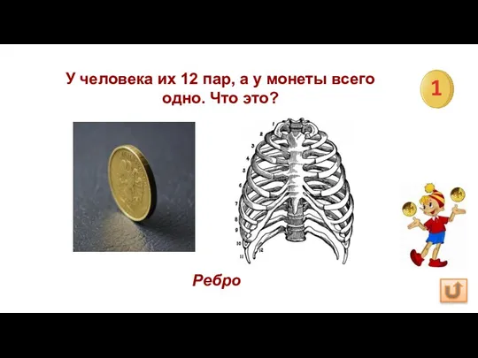 У человека их 12 пар, а у монеты всего одно. Что это? Ребро 1