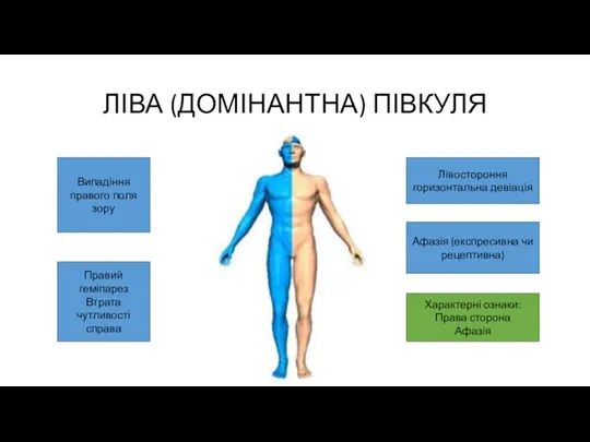 ЛІВА (ДОМІНАНТНА) ПІВКУЛЯ Випадіння правого поля зору Правий геміпарез Втрата чутливості справа