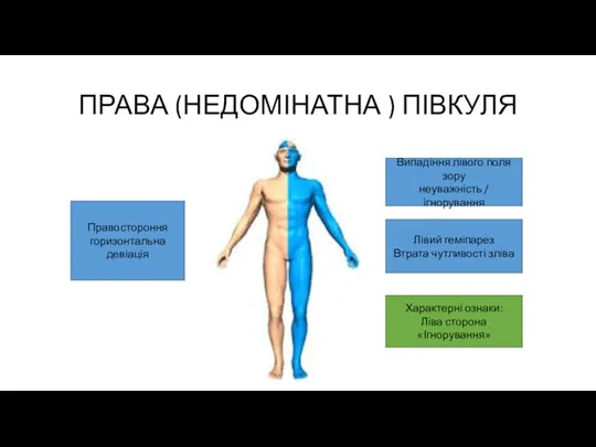 ПРАВА (НЕДОМІНАТНА ) ПІВКУЛЯ Правостороння горизонтальна девіація Випадіння лівого поля зору неуважність