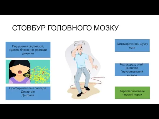 СТОВБУР ГОЛОВНОГО МОЗКУ Порушення свідомості, нудота, блювання, розлади дихання Орофарингеальні розлади: Дизартрія