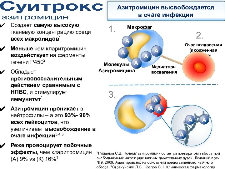 Создает самую высокую тканевую концентрацию среди всех макролидов1 Меньше чем кларитромицин воздействует