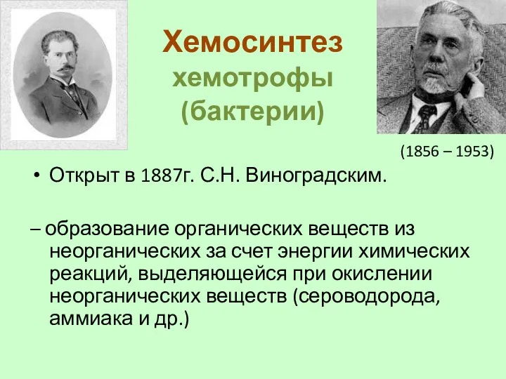 Хемосинтез хемотрофы (бактерии) Открыт в 1887г. С.Н. Виноградским. – образование органических веществ