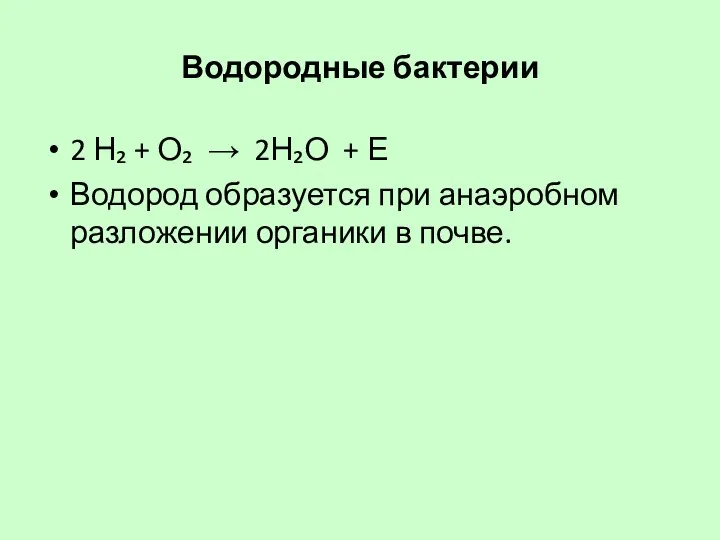 Водородные бактерии 2 Н₂ + О₂ → 2Н₂О + Е Водород образуется