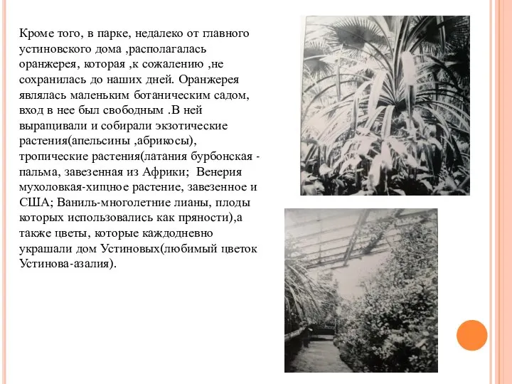 Кроме того, в парке, недалеко от главного устиновского дома ,располагалась оранжерея, которая