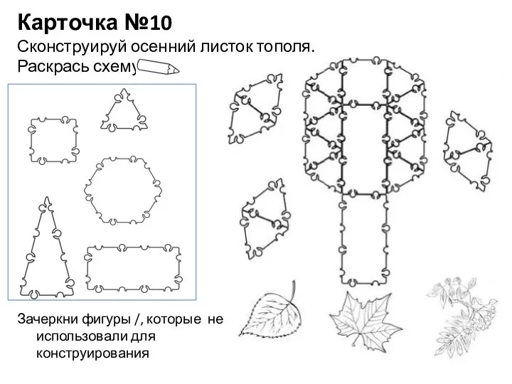 Карточка №10 Сконструируй осенний листок тополя. Раскрась схему Зачеркни фигуры /, которые не использовали для конструирования