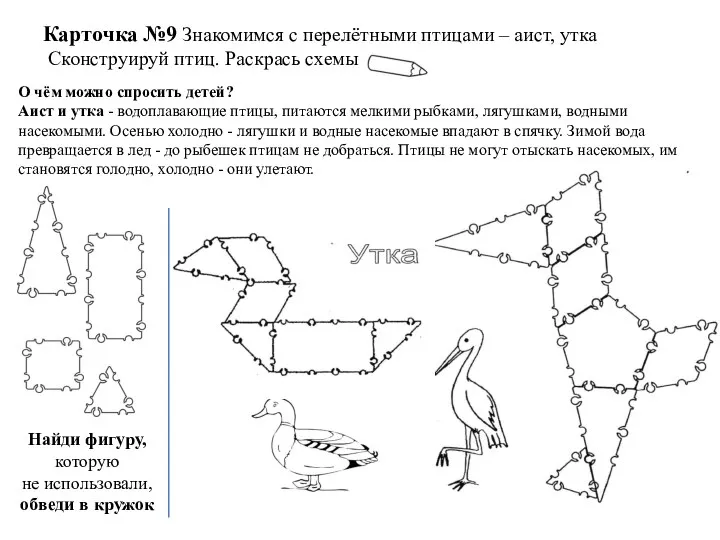 Карточка №9 Знакомимся с перелётными птицами – аист, утка Сконструируй птиц. Раскрась