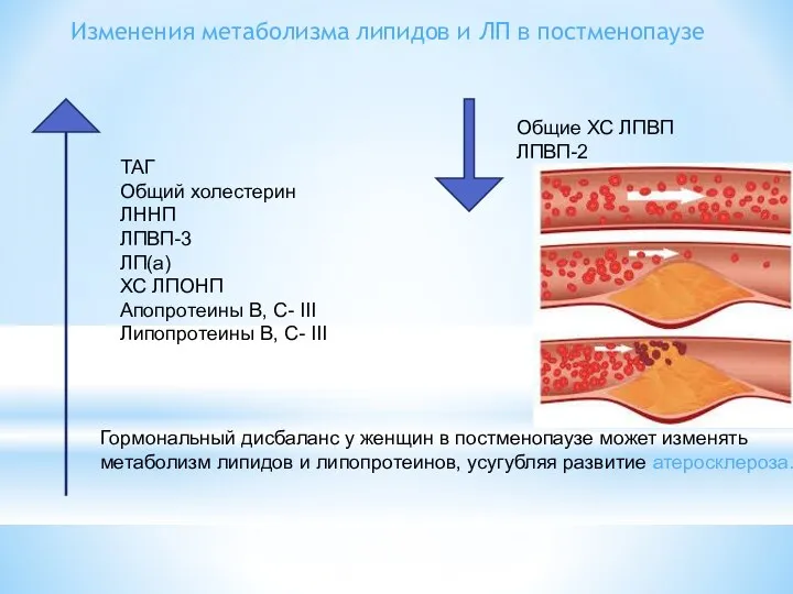 Изменения метаболизма липидов и ЛП в постменопаузе ТАГ Общий холестерин ЛННП ЛПВП-3