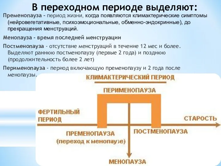 В переходном периоде выделяют: Пременопауза – период жизни, когда появляются климактерические симптомы