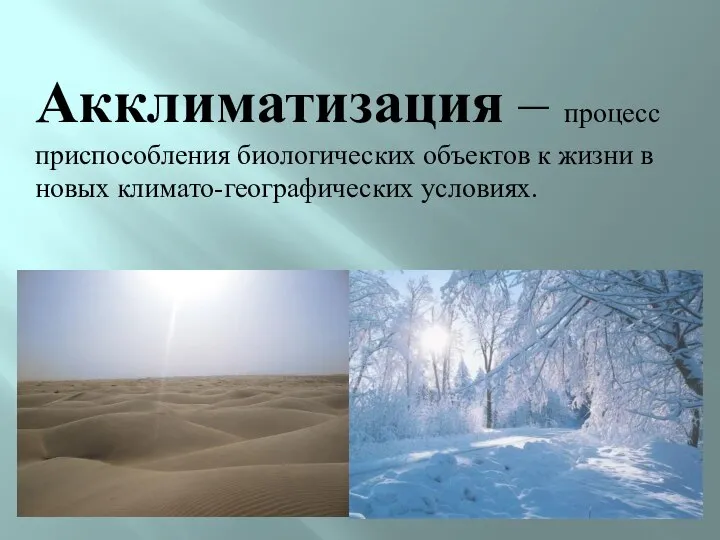 Акклиматизация – процесс приспособления биологических объектов к жизни в новых климато-географических условиях.