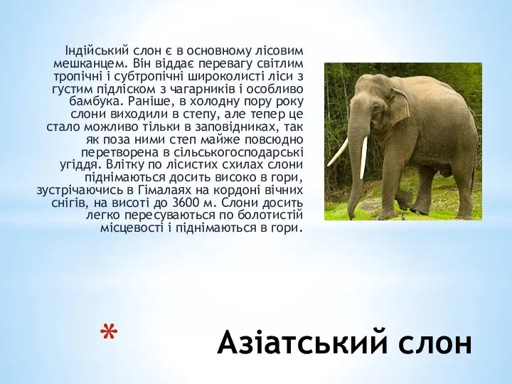 Азіатський слон Індійський слон є в основному лісовим мешканцем. Він віддає перевагу