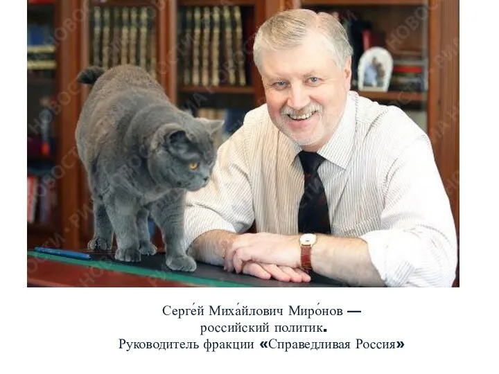 Серге́й Миха́йлович Миро́нов — российский политик. Руководитель фракции «Справедливая Россия»