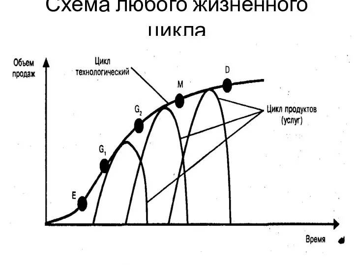 Схема любого жизненного цикла