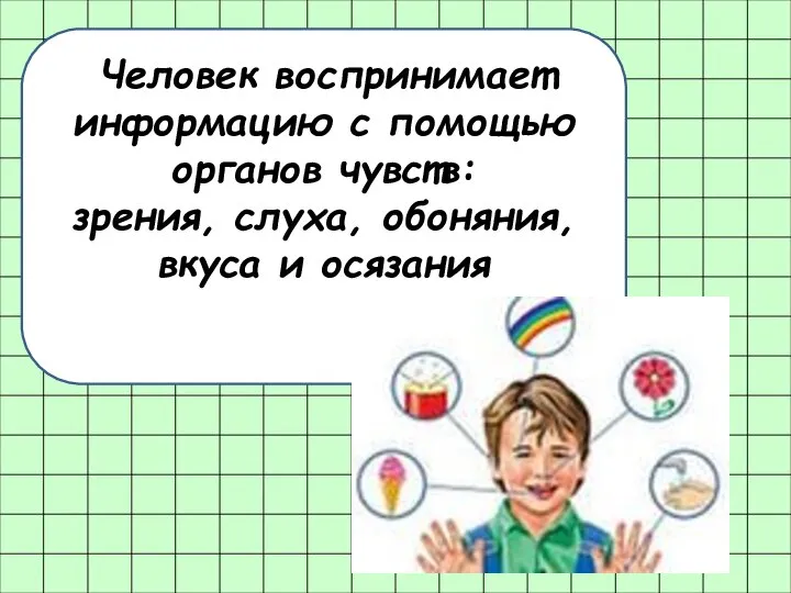 Человек воспринимает информацию с помощью органов чувств: зрения, слуха, обоняния, вкуса и