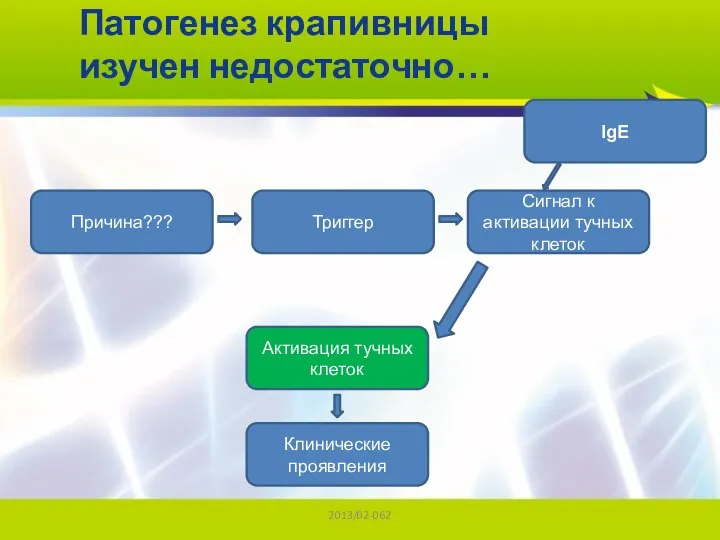 2013/02-062 Патогенез крапивницы изучен недостаточно… Причина??? Триггер Сигнал к активации тучных клеток