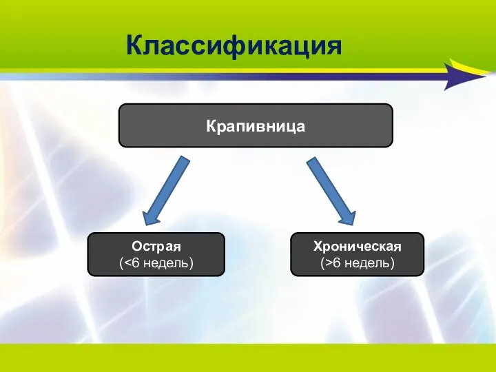 Классификация Крапивница Острая ( Хроническая (>6 недель)