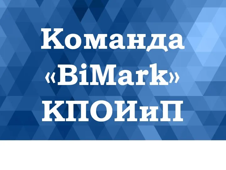 Команда «BiMark» КПОИиП