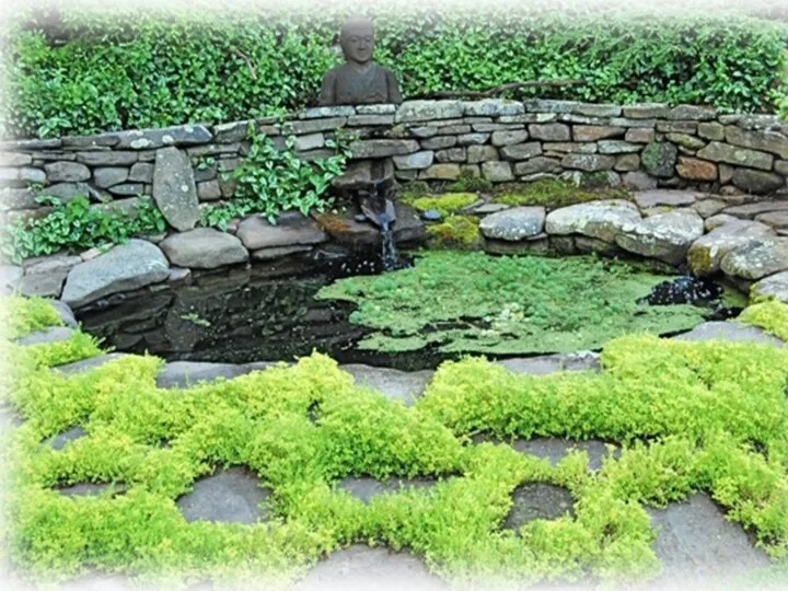 Один из самых красивых садов для прогулок в Японии – это Кацура Рикю