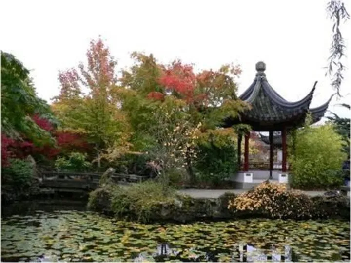 Сад камней— культурно-эстетическое сооружение Японии, разновидность японского сада