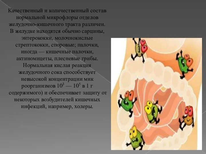 Качественный и количественный состав нормальной микрофлоры отделов желудочно-кишечного тракта различен. В желудке