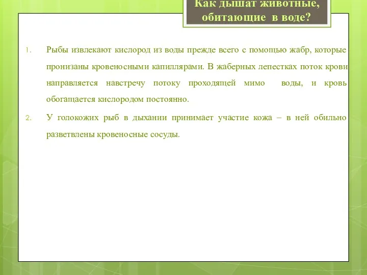 Рыбы извлекают кислород из воды прежде всего с помощью жабр, которые пронизаны