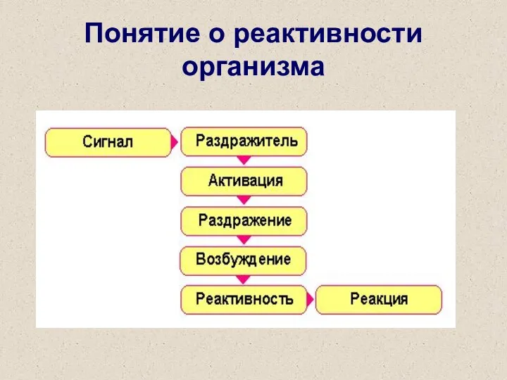 Понятие о реактивности организма