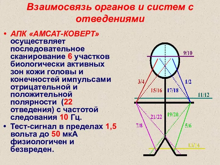 Взаимосвязь органов и систем с отведениями АПК «АМСАТ-КОВЕРТ» осуществляет последовательное сканирование 6