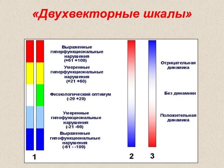 «Двухвекторные шкалы»