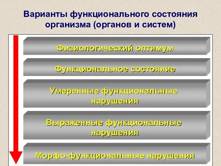 Варианты функционального состояния организма (органов и систем)