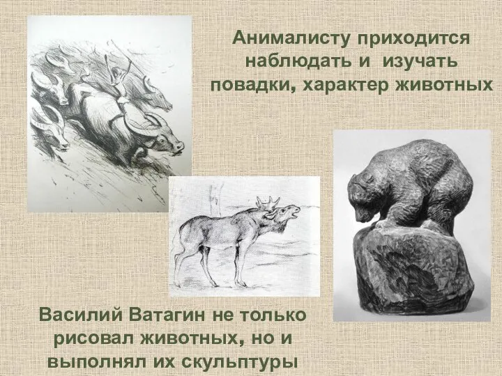 Анималисту приходится наблюдать и изучать повадки, характер животных Василий Ватагин не только