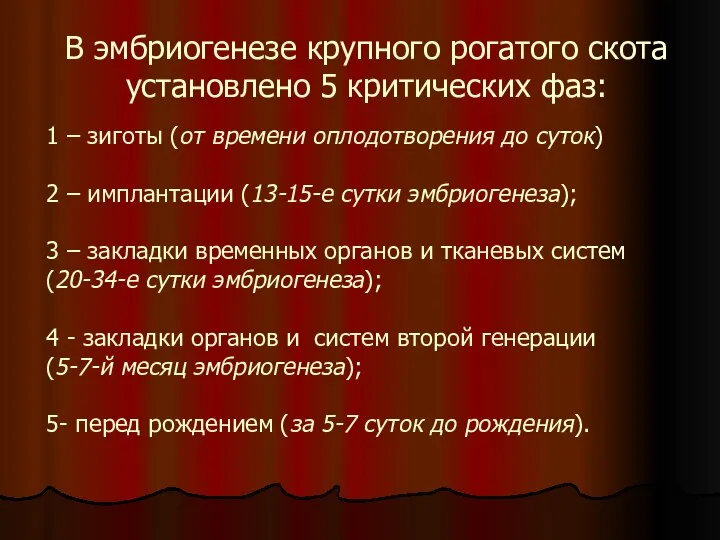 В эмбриогенезе крупного рогатого скота установлено 5 критических фаз: 1 – зиготы