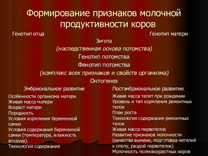 Формирование признаков молочной продуктивности коров Генотип отца Генотип матери Зигота (наследственная основа