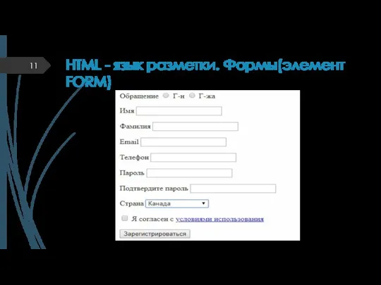 HTML - язык разметки. Формы(элемент FORM)