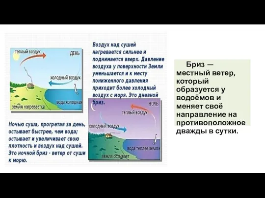 Бриз — местный ветер, который образуется у водоёмов и меняет своё направление